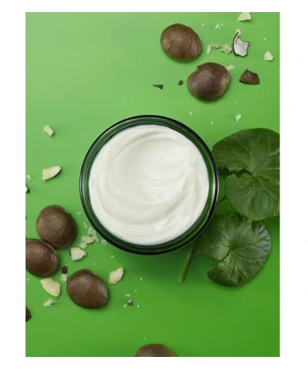 Weleda - Crema de noche Skin Food